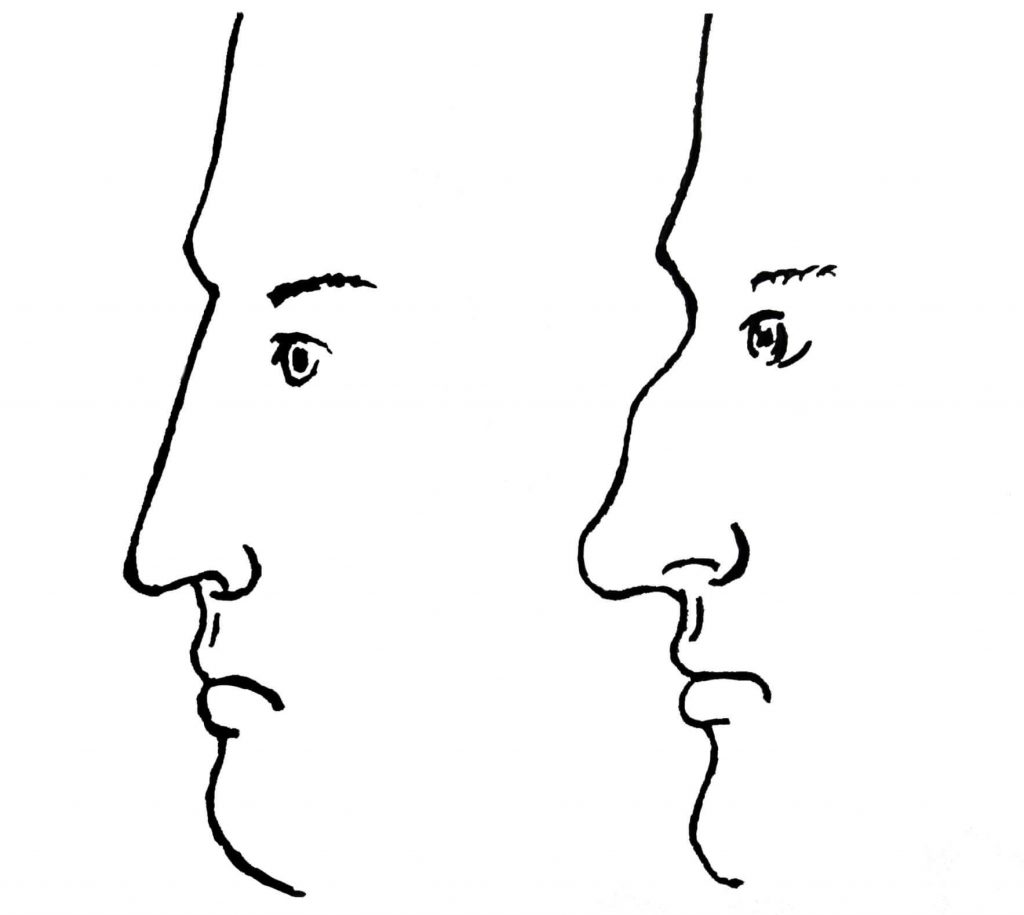 Физическая антропология: угол выступания носа 