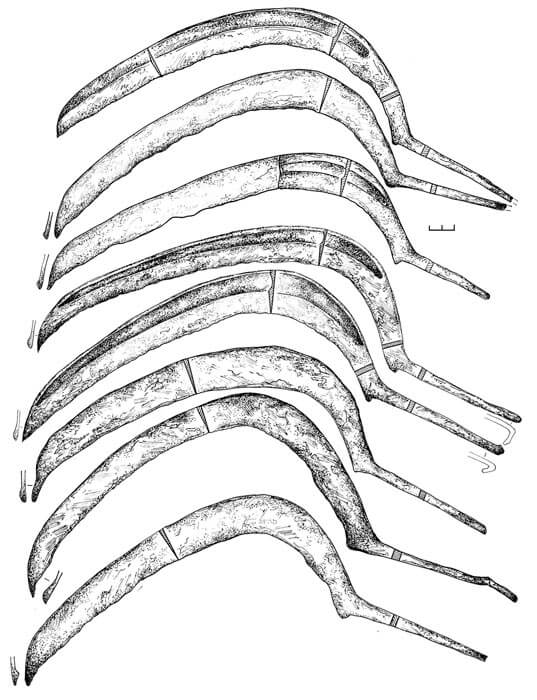 Золотарёвское городище: серпы 