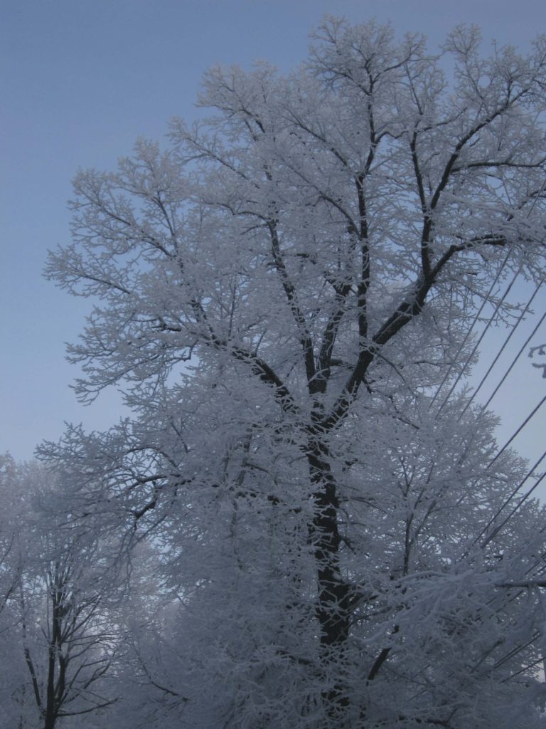 Ледяной дождь на улице Красной Пенза