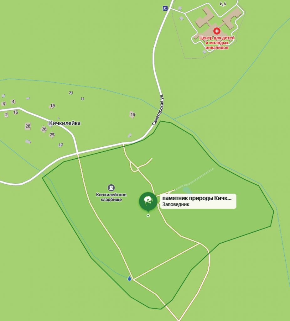 Кичкилейский сосняк с дубом на карте Яндекс